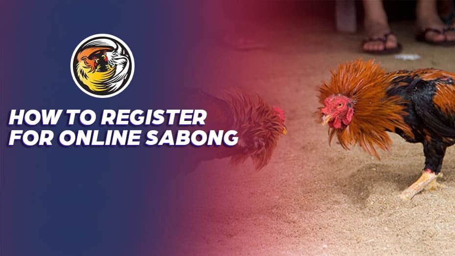 How to Register for live 24x7 streaming Sabong