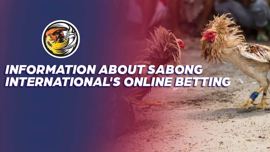 Information about Sabong International's live 24x7 streaming betting