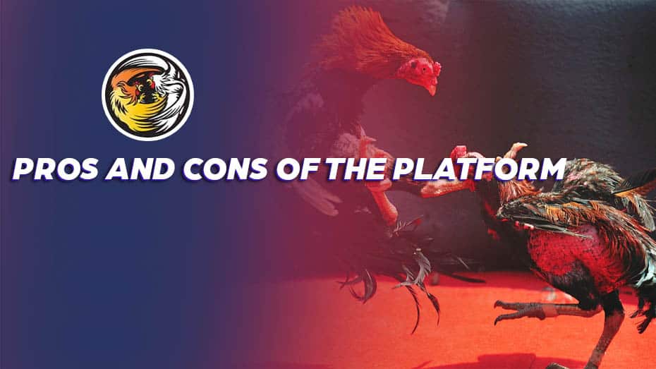 Pros and Cons of the Platform