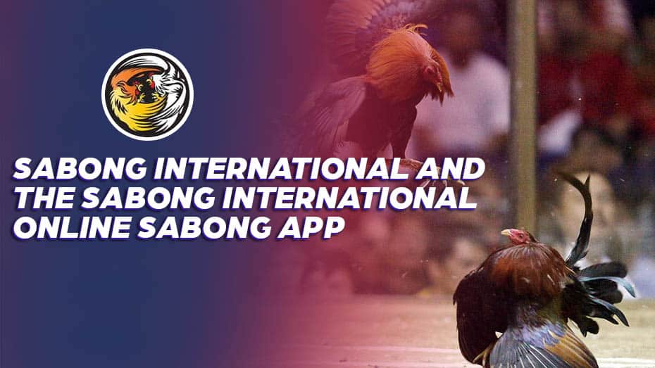 Sabong filipino and the Sabong filipino live sabong App