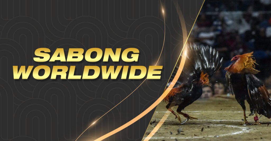 Sabong Worldwide (Review)